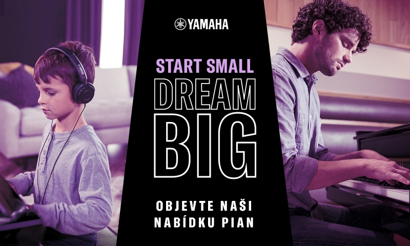 Start Small Dream Big